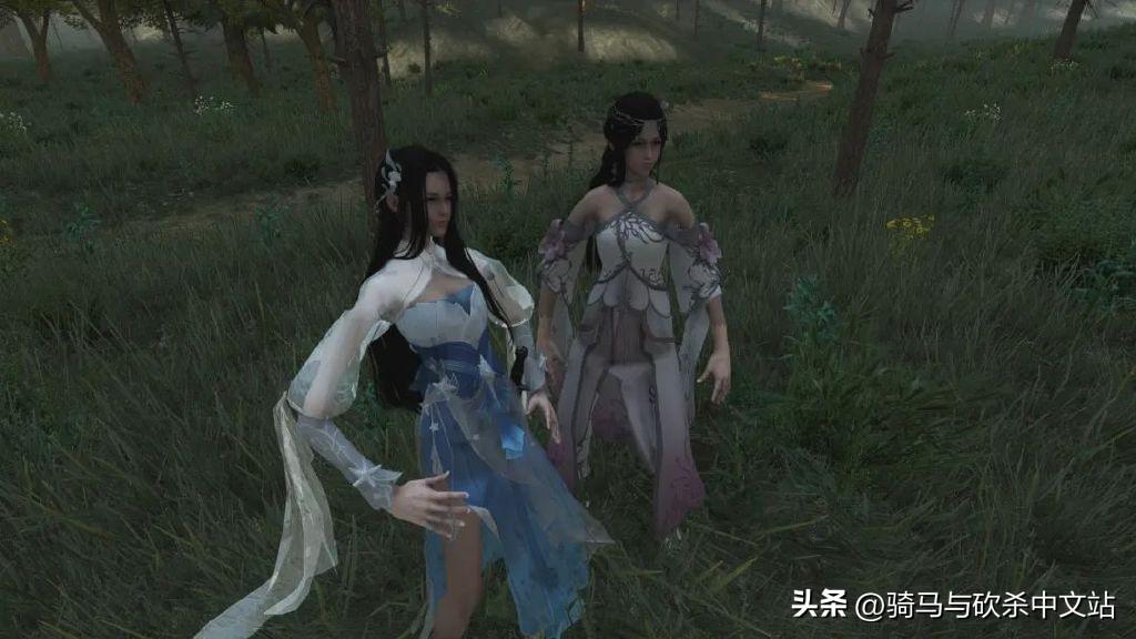 骑马与砍杀三国无双攻略（MOD精选貂蝉甄宓缺一不可骑砍2三国无双服装）-图5