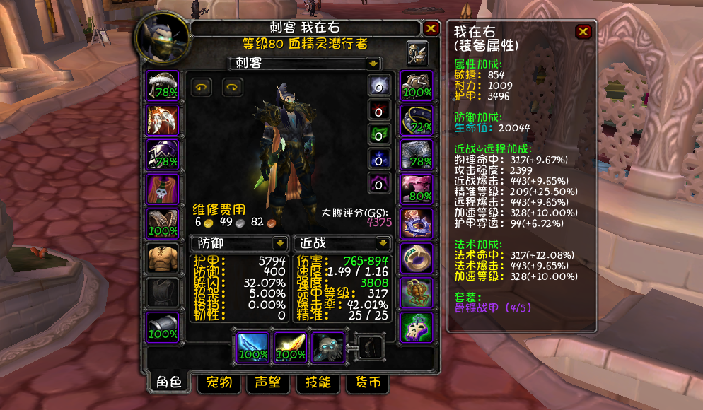 魔兽世界盗贼装备属性用什么的（魔兽80级盗贼属性选择天赋配装与输出手法全攻略）-图18