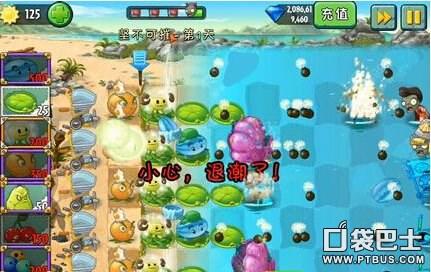 植物大战僵尸2坚不可摧第三天攻略(植物大战僵尸2巨浪沙滩坚不可摧第3关)-图2