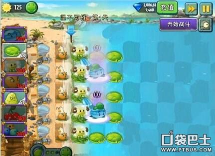 植物大战僵尸2坚不可摧第三天攻略(植物大战僵尸2巨浪沙滩坚不可摧第3关)-图1