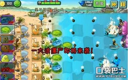 植物大战僵尸2坚不可摧第三天攻略(植物大战僵尸2巨浪沙滩坚不可摧第3关)-图4