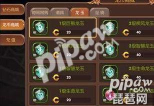 龙之谷祭祀堆什么属性(龙之谷手游祭司装备推荐)-图2