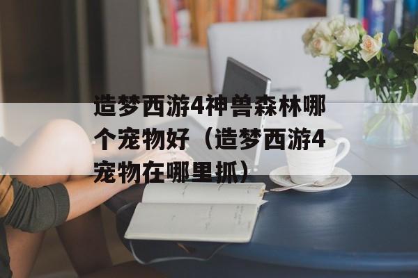 造梦西游4神兽森林哪个宠物好(造梦西游4宠物在哪里抓)