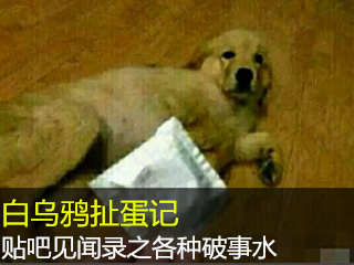 新天下无双剑宗加点(新天下无双剑宗刷boss技能)