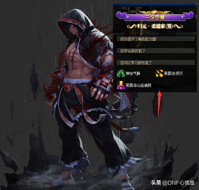男柔道觉醒叫什么名字(dnf男柔道名字及人物介绍)