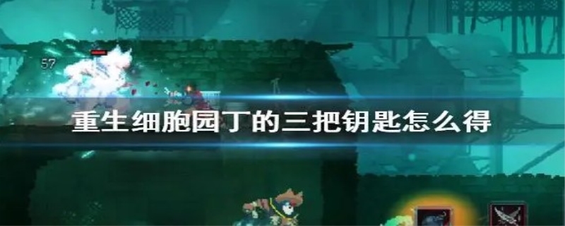 园丁的三把钥匙在哪