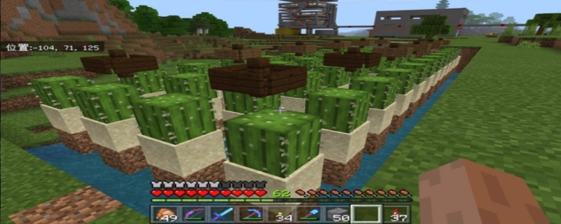 我的世界仙人掌的作用是什么