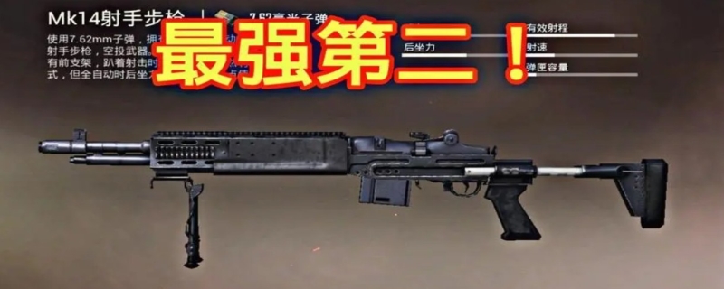 吃鸡武器大全表
