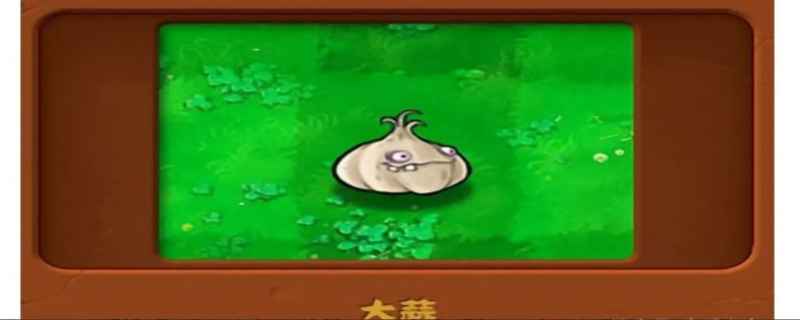 植物大战僵尸大蒜作用