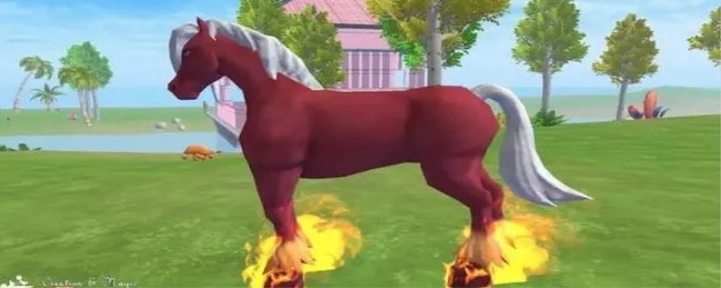 创造与魔法红马饲料保底多少包