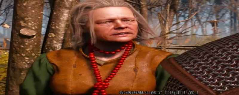 巫师3林中夫人怎么选择