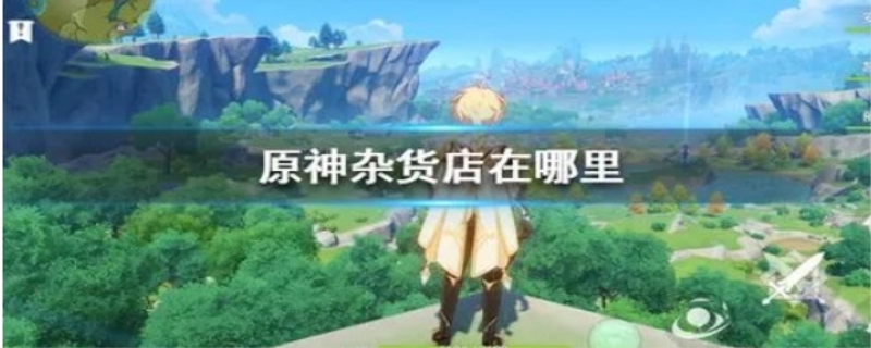 原神璃月杂货店在哪