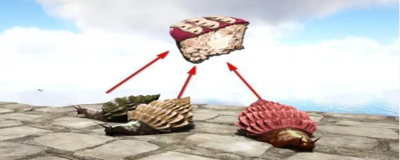 方舟玛瑙螺怎么驯服吃什么（蔬菜）