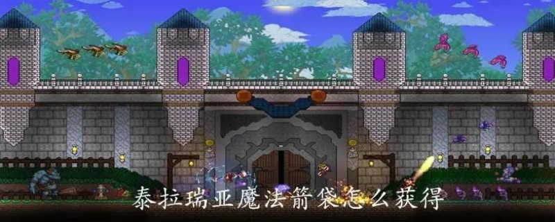 泰拉瑞亚魔法箭袋怎么得