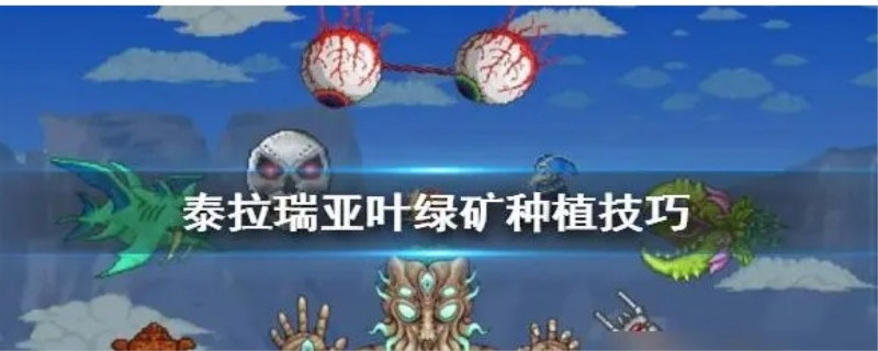 泰拉瑞亚叶绿矿种植技巧