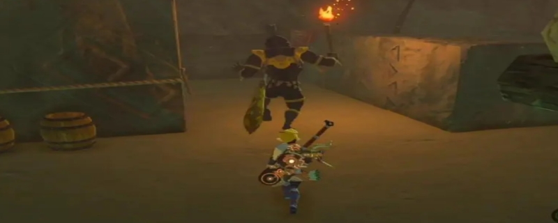 塞尔达盖伊队基地打法攻略（塞尔达伊盖队老巢怎么打）