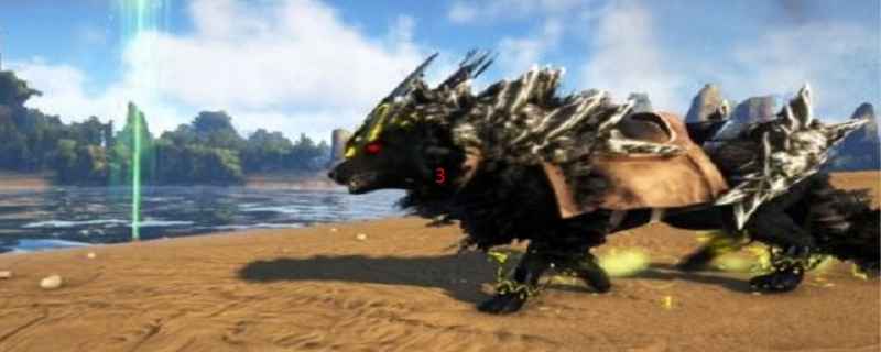 恐狼吃什么饲料