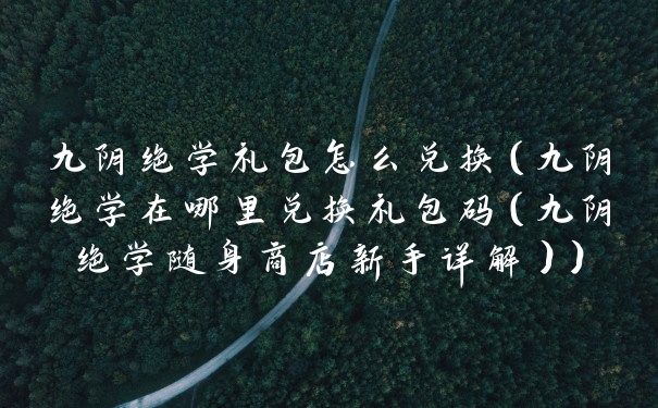 九阴绝学礼包怎么兑换(九阴绝学在哪里兑换礼包码(九阴绝学随身商店新手详解))