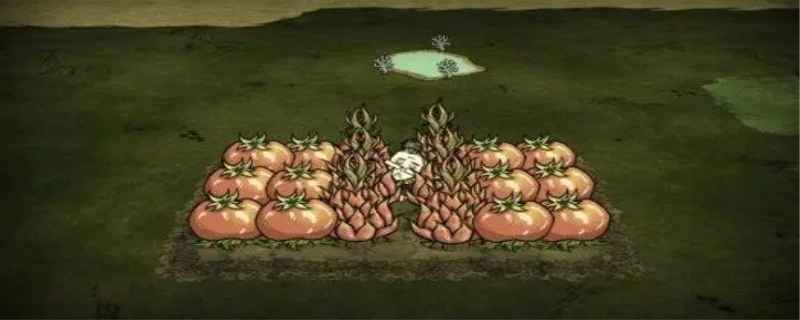 饥荒怎么建房子