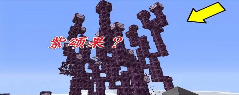 我的世界紫颂果的作用是什么？我的世界紫颂果怎么种