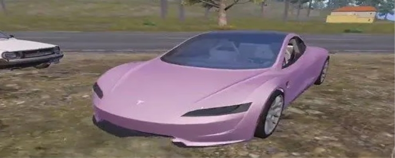 和平精英特斯拉什么颜色好看