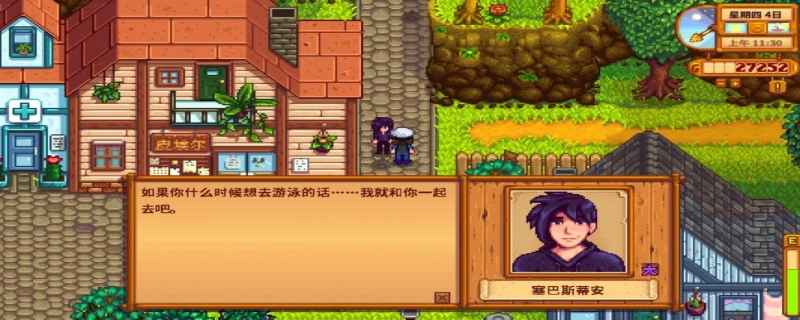 星露谷物语塞巴斯蒂安喜欢什么东西