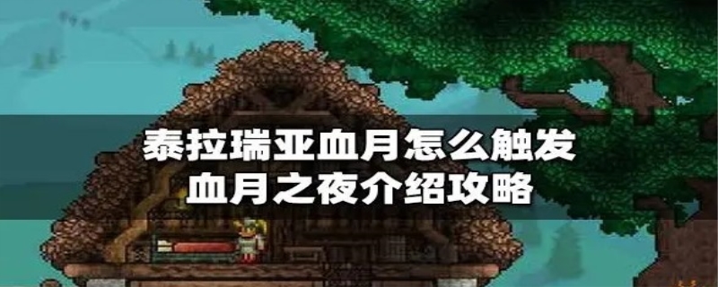 泰拉瑞亚血月能干嘛