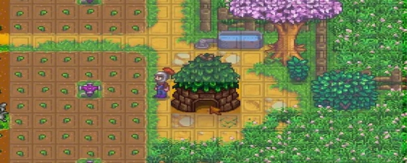星露谷祝尼魔小屋怎么得