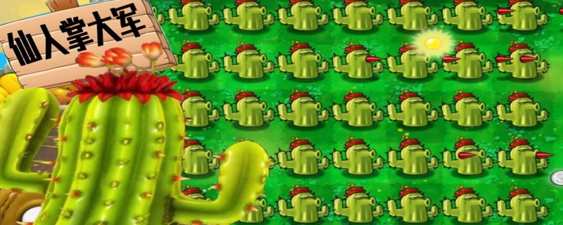 植物大战僵尸仙人掌的作用